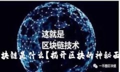 区块链是什么？揭开区块的神秘面纱