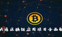 : 大通区块链应用项目全面解析