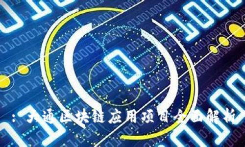: 大通区块链应用项目全面解析