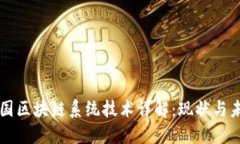 中国区块链系统技术详解：现状与未来
