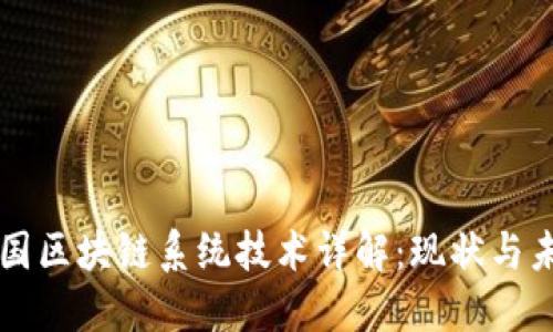 中国区块链系统技术详解：现状与未来