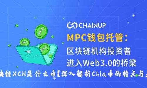 区块链XCH是什么币？深入解析Chia币的特点与未来