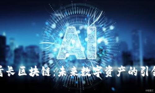 : 酋长区块链：未来数字资产的引领者